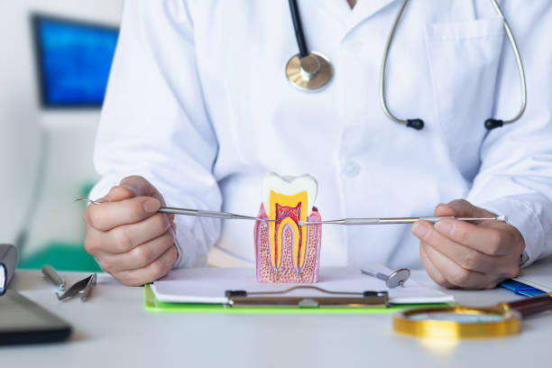 Best Knocked-Out Tooth Emergency  in Coosada, AL